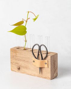 a plant is growing out of a wooden holder with scissors and test tubes in it