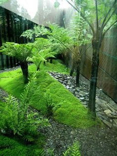 a garden with green plants and rocks in the ground, along side a wall that has a mirror on it