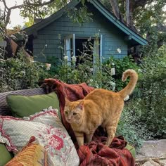 an orange cat standing on top of a couch covered in pillows next to a house