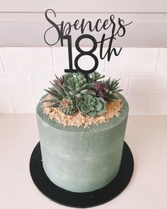 #succulents #cake #plants #potplants #yummy #cakedesign #cakeideas #cakedecoratingideas #baking #creative Birthday Cake Succulents, Succulents Cake Ideas, Succulent Birthday Party Ideas, Plant Cake Design Birthday, Plant Birthday Cakes, Plant Cake Design, Succulent Cake Ideas, Plant Themed Cake, Plant Cakes Ideas