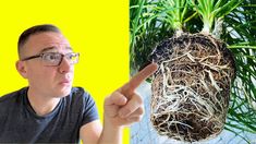 a man pointing at a plant with roots on it and another photo of him holding his finger up to the camera