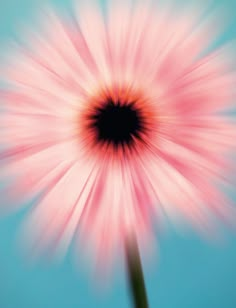 a blurry photo of a pink flower on a blue background