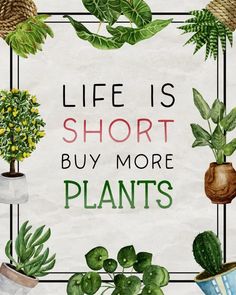 the words life is short buy more plants