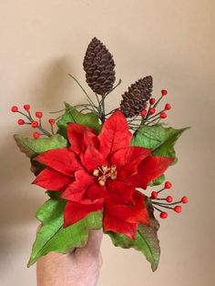 a hand holding a red poinsettia and pine cones