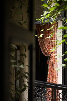 an open window with curtains and plants in front of it, looking out onto the street