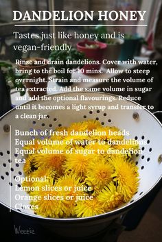 dandelion honey in a colander with instructions on how to use it for cooking