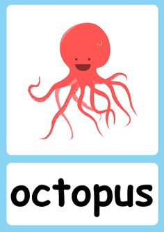 an octopus with the words octopusus below it