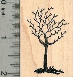 a rubber stamp with a tree on it and a ruler in front of the stamp