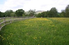 a wooden fence in the middle of a grassy field