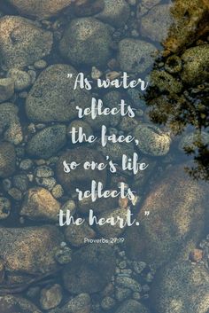 water reflects the face, so it's life reflects the heart prove bible verse