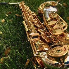 a golden saxophone laying in the grass