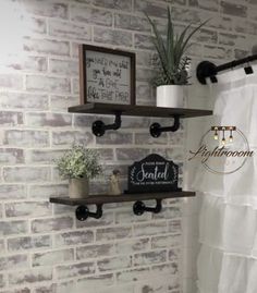 bathroom with brick wall and two shelves holding potted plants, toilet paper roll and framed pictures