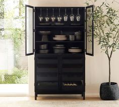 a tall black cabinet with glass doors next to a potted plant and vase on the floor