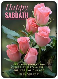 happy sabath greeting card with pink roses