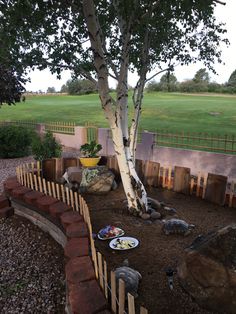 a tree in the middle of a dirt area with food on plates and bowls under it