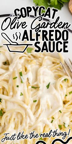 Copycat Olive Garden Fettuccine Alfredo Sauce Olive Garden Chicken Alfredo Recipe, Alfredo Sauce With Milk, Easy Alfredo Sauce, Copycat Olive Garden Alfredo, Olive Garden Alfredo Sauce Recipe, Olive Garden Alfredo, Starchy Sides, Easy Alfredo, Crockpot Dessert