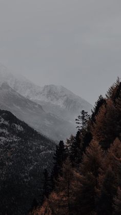 the mountains are covered in snow and trees