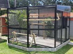 Viveiro moderno para arara Canindé Parrot House, Pigeon Loft Design, Pigeon Loft, Pet Bird Cage, Canary Birds, Diy Dog Kennel, Grey Kitchen Designs, Zoo Ideas