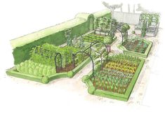 an artist's rendering of a vegetable garden