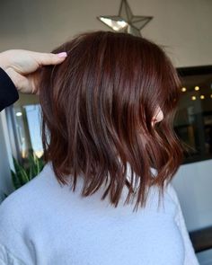 Dark Cherry Brown Hair Short, Short Hair Fall Color, Mahogany Hair Color Short, Red Hair Tint On Brown Hair, Short Cherry Brown Hair, Short Dark Hair With Red Highlights, Short Mahogany Brown Hair, Chestnut Brown Short Hair, Dark Auburn Hair Short