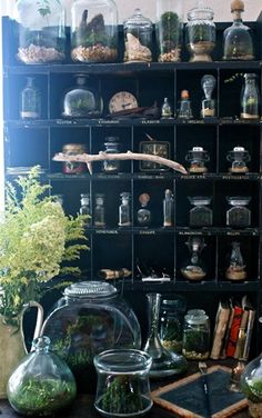 an assortment of vases and jars on display in a room with bookshelves