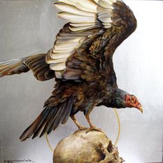 a painting of a bird on top of a human skull