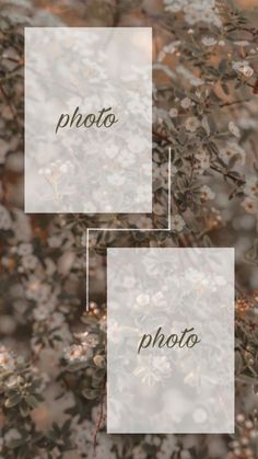 two frames with the words photo on them in front of some flowers and leaves,