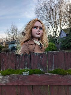 a creepy doll sitting on top of a wooden fence