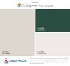 the color scheme for colorsnap visualizer is shown in green, white and gray