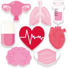 various types of heart, lungs, and other medical items are shown in this illustration