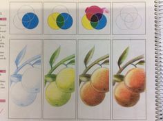 an open book with pictures of different fruits