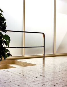 a potted plant sitting on top of a hard wood floor next to a window