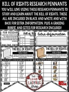 the bill of rights research poster