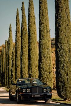 a black car parked in front of tall trees