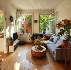 a living room filled with furniture and lots of windows next to a wooden floor covered in potted plants