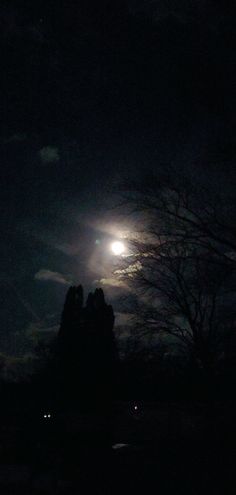 the moon is shining brightly in the night sky over some trees and bushes with no leaves on them