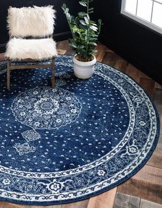 a blue rug with a chair and potted plant