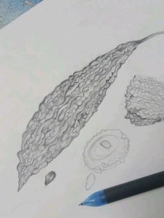 a pencil drawing of an object on paper