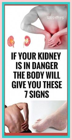 Liv Pure, Kidney Damage, Kidney Cleanse, Liver Health, Cardiovascular Health, What Happened To You, Inbound Marketing, Healthy Tips