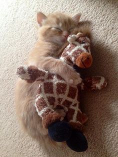 a cat sleeping on top of a stuffed giraffe toy with it's eyes closed