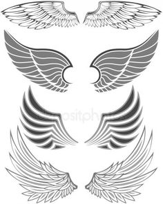 four different wings in black and white