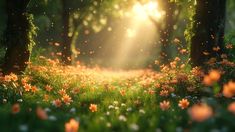 the sun shines through the trees and flowers on the ground in front of them