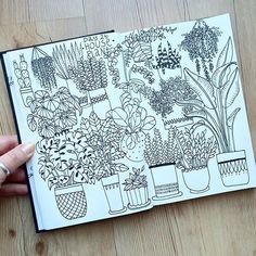 a hand holding an open coloring book with plants in pots on the cover and inside