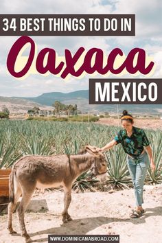 34 Best Things to Do in Oaxaca, Mexico Oaxaca Mexico Travel, Mexico Itinerary, Explore Mexico, North America Travel Destinations, Mexico Travel Guides, Mexico Food, Living In Mexico, Mexico Culture, Mexico Resorts