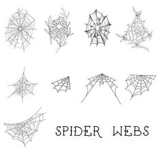 spider webs are drawn in black and white