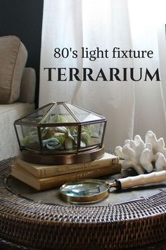 there is a table with some books on it and a lamp next to it that says, 80's light fixture terrarium