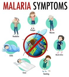 there are many different types of symptoms in the world, including mosquitoes and people