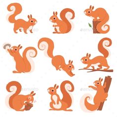 an image of squirrels on the tree