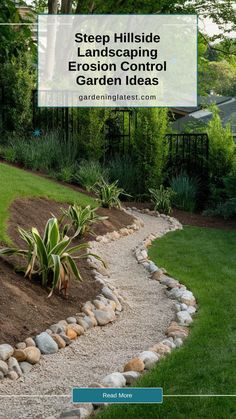 a garden with rocks and plants in it