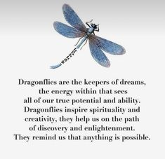 a dragonfly sitting on top of a piece of paper with the words, dragonflies are